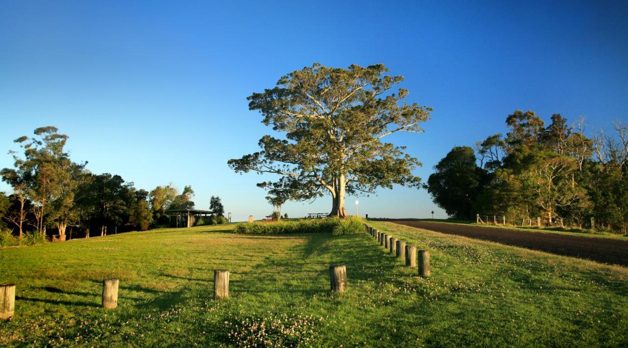Oaks Toowoomba Hotel Esterno foto
